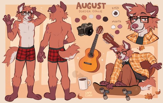 August the border collie character reference sheet